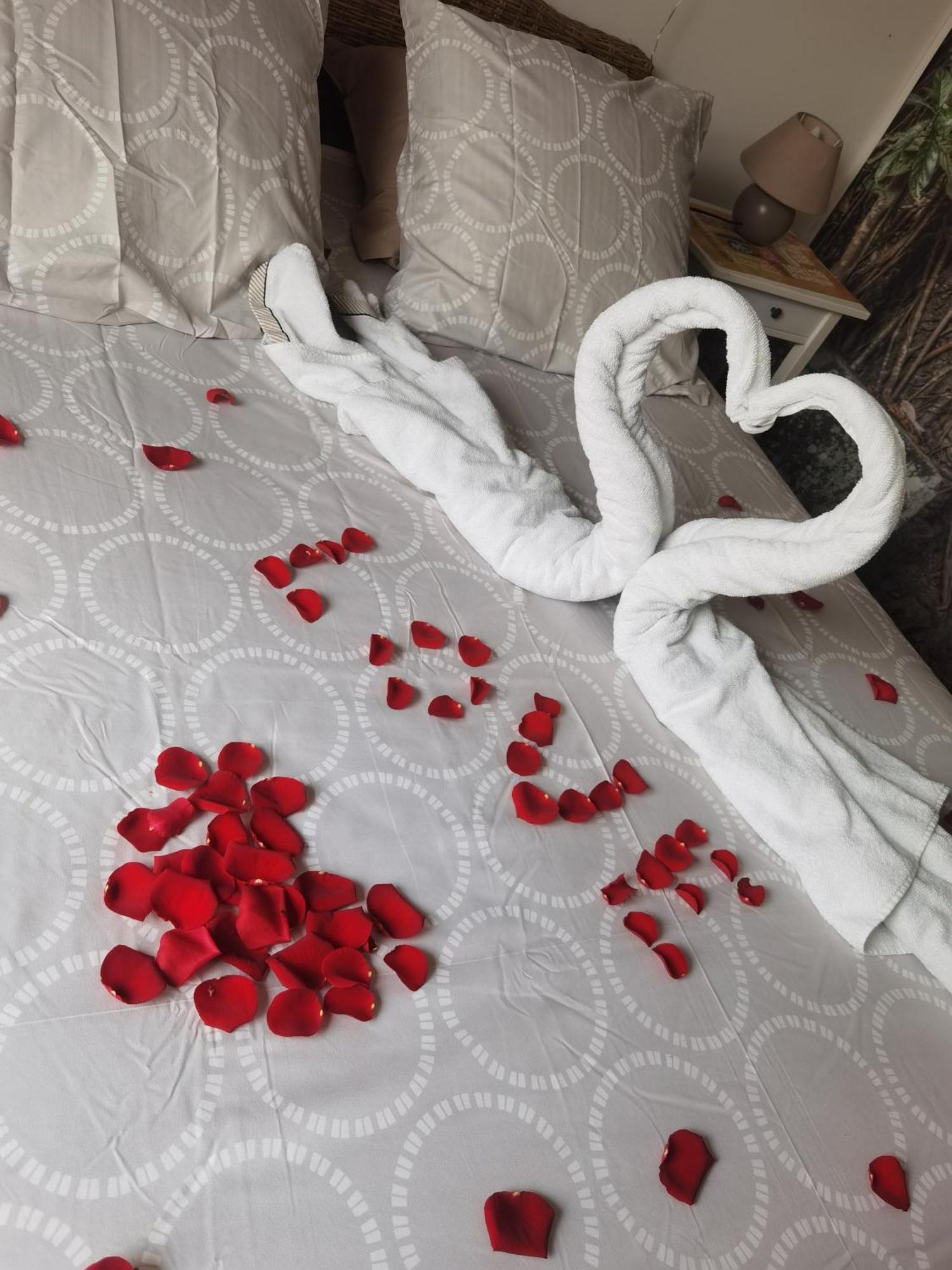 Gites N Spa Tourcoing Chambre photo